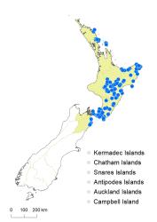 Veronica parviflora distribution map based on databased records at AK, CHR & WELT.
 Image: K.Boardman © Landcare Research 2022 CC-BY 4.0